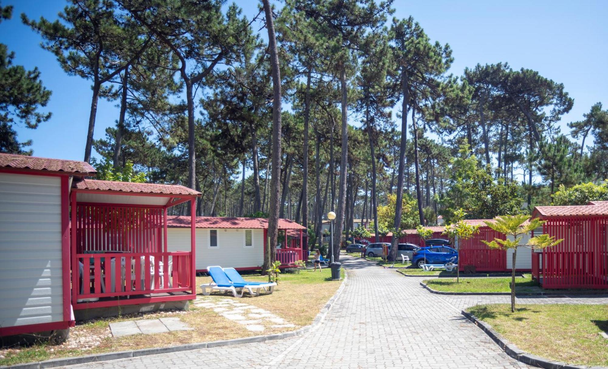 Hotel Parque De Campismo Orbitur São Pedro de Muel Pokój zdjęcie